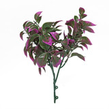 Purple Pointy Bush (25cm) 