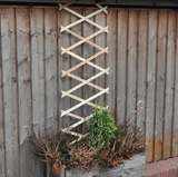 Garden Trellis (6ft x 1ft)