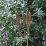Bullrush Decorative Stake (115cm) Bullrush Decorative Stake (115cm)