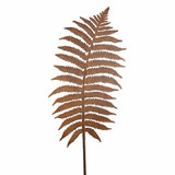 Curved Fern Stake (117cm)