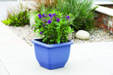 Blue Patio Planter (30cm)