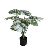 Artificial Monstera Tree (50cm) Artificial Monstera Tree (50cm)