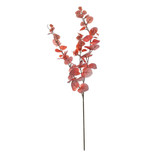Essential Autumn Eucalyptus Stem - Red Essential Autumn Eucalyptus Stem - Red