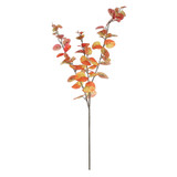 Essential Autumn Eucalyptus Stem - Orange Essential Autumn Eucalyptus Stem - Orange
