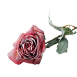 Fuchsia Snowy Single Rose (56cm) Fuchsia Snowy Single Rose (56cm)