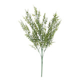 Essential Green Mini Ruscus Bush 