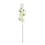 Essential White Bougainvillea Spray 