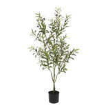 Botanica Olive Tree in pot (120cm)