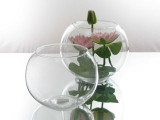 9 inch Fish Bowl Vase (23cm) 9 inch Fish Bowl Vase (23cm)