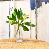 Clear Vintage Fluted Bud Vase (14cm) Clear Vintage Fluted Bud Vase (14cm)