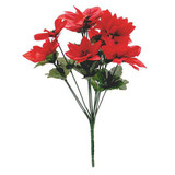 Red Poinsettia Bush Red Poinsettia Bush