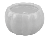Halloween Pumpkin Fragrance Candle (Assorted)