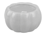 Halloween Pumpkin Fragrance Candle (Assorted)