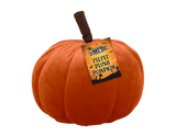 Velvet Plush Pumpkin (16cm) (Assorted Designs)