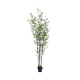 UV Botanica Bamboo Plant (213cm)