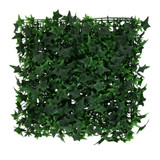 Exterior Ivy Wall (50x50cm) Exterior Ivy Wall (50x50cm)