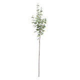 Grey/Green Eucalyptus Stem