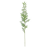 Green Botanica Ruscus Spray (121cm)