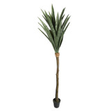 Botanica Yucca Tree in Pot (225cm)