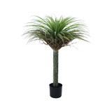 Botanica Yucca Tree in Pot (105cm) Botanica Yucca Tree in Pot (105cm)