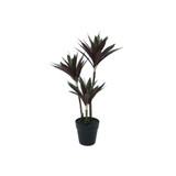 Botanica Yucca Tree in Pot (63cm)