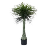 Botanica Yucca Tree in Pot (135cm) Botanica Yucca Tree in Pot (135cm)