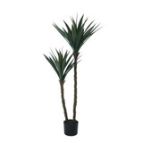 Botanica Yucca Tree in Pot (120cm) Botanica Yucca Tree in Pot (120cm)