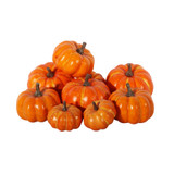 Orange Assorted Pumpkins (Pack of 9)