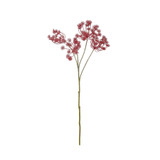 Dark Red Anethum Spray (81cm) Dark Red Anethum Spray (81cm)