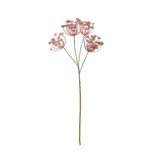 Russet Anethum Spray (81cm) Russet Anethum Spray (81cm)