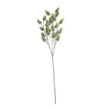 Hops Spray Green 60cm