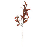 Glamis Croton Spray Orange (108cm) Glamis Croton Spray Orange (108cm)