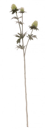 Green Thistle Spray x 3 Heads Green Thistle Spray x 3 Heads