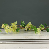 Tintagel Wild Berry Spray Yellow