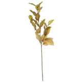 Glamis Lemon Spray Brown (74cm) Glamis Lemon Spray Brown (74cm)