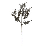 Brown Cosy Grass Spray (66cm)