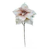 Peach Poinsettia Stem (53cm)