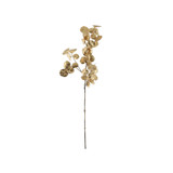Gold Eucalyptus Stem (76cm)