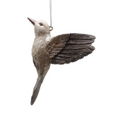 Multicolour Humming Bird Ornament (12cm)