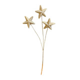 Gold Glitter Star Spray (Set of 3)