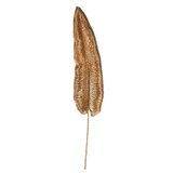 Gold Tropical Leaf (XX Large)