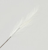 White Pampas Grass Spray (82cm)