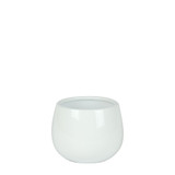 Glossy White Hortus London Pot (12x11cm)