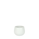 Matt White Hortus Pot (8.5x8cm)