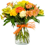 Clear High Neck Glass Vase