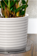 Clear Economy Plastic Plant Saucer (12 Inch)