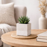 Hortus White Bordeaux Stoneware Cube (12.5cm H x 12.5cm W)