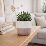 Hortus Pink & White Bordeaux Stoneware Pot (12cm H x 13cm Dia)