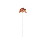 Glamis Orange Berry Pick (36cm)