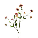 	Botanica Pink Anemone Spray (111cm)